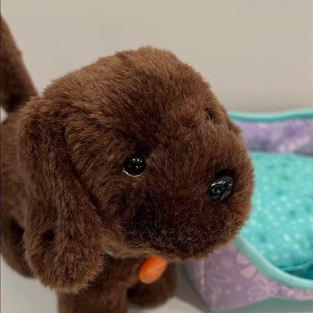 American Girl Brown Plush Dog with Teal and Purple Bed